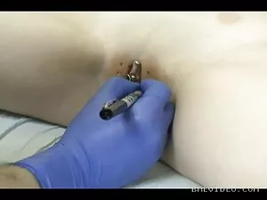 Bendita e selvagem n ...
