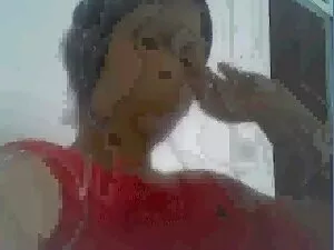 A abelha Negra preci ...